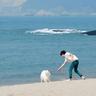 海派甜心
